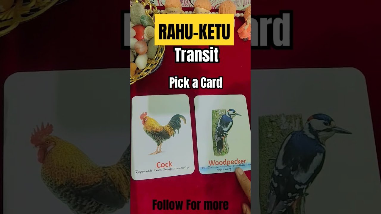 No momento, você está visualizando #rahu #ketu #transition #ytshort #tarot #tarotreading #shorts #trendingshorts #guidance #viralvideo