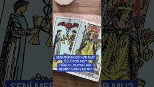 Leia mais sobre o artigo SENİ MERAK EDİYOR MU? Adım var mı? #tarot #astrolojiyorumu #astroloji #aklımdakikişitarot #tarotfal