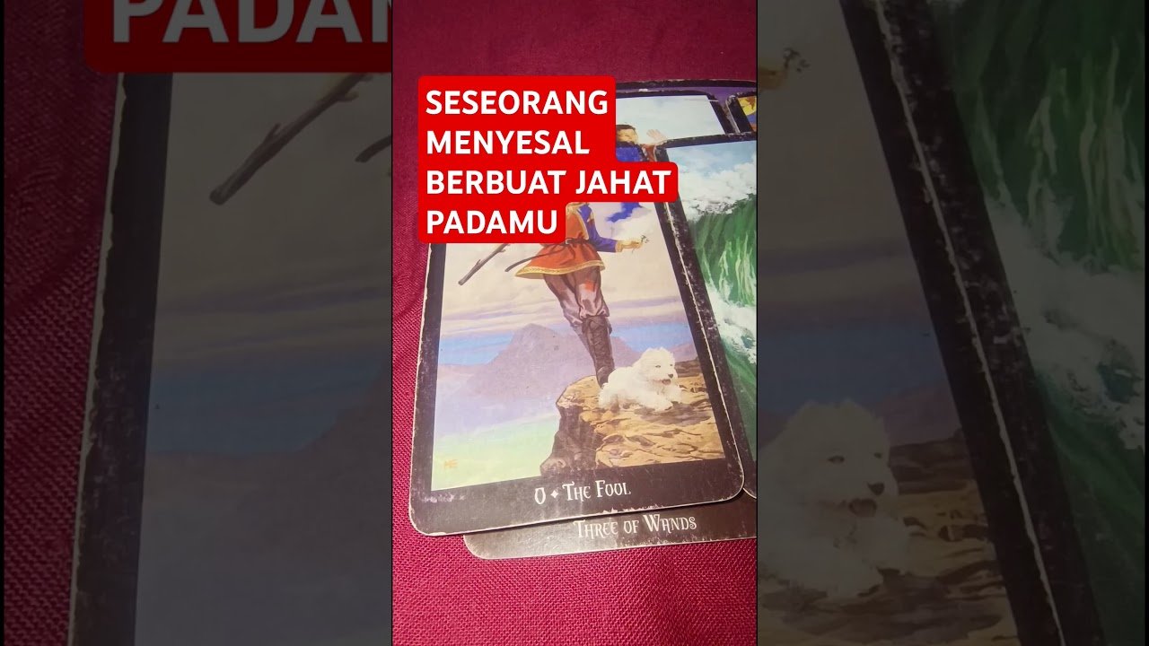 No momento, você está visualizando SESEORANG MENYESAL BERBUAT JAHAT PADAMU #tarot #tarotreading