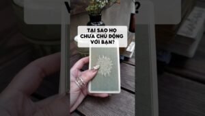 Leia mais sobre o artigo Tại sao họ chưa chủ động với bạn? #tarot #duongtarot #tarotvietnam #tarotonline #tinhyeu
