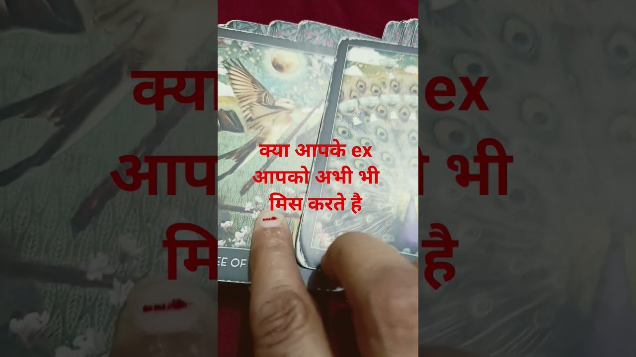 No momento, você está visualizando #tarot kya aapke partner Abhi bhi आपको मिस करते है @#