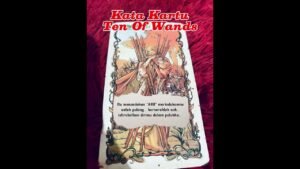 Leia mais sobre o artigo #tarot #pesansemesta