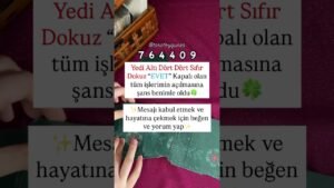 Leia mais sobre o artigo #tarot #tarotokuma #tarotokuyucu #tarotokuması #burçlar #burçyorumu #burçyorumları #sayısekansı