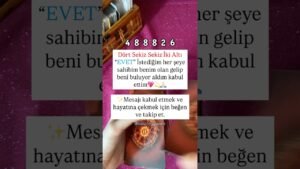 Leia mais sobre o artigo #tarotaçılımı #tarotokuma #tarotacilimi #tarotokuması #tarot #sayısekansı #astrolojiyolculugu