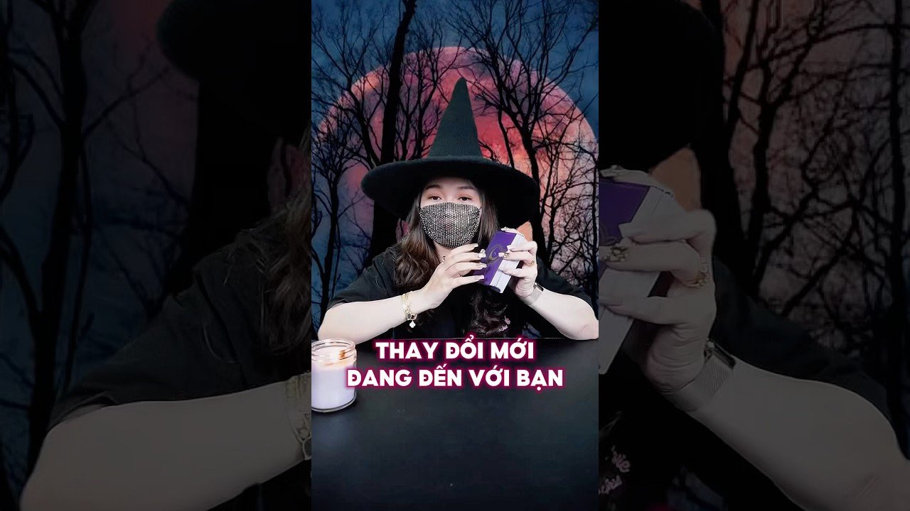 No momento, você está visualizando Thay đổi mới đang đến với bạn #tarot #duongtarot #tarotreels #tarotvietnam #tarotonline #tinhyeu