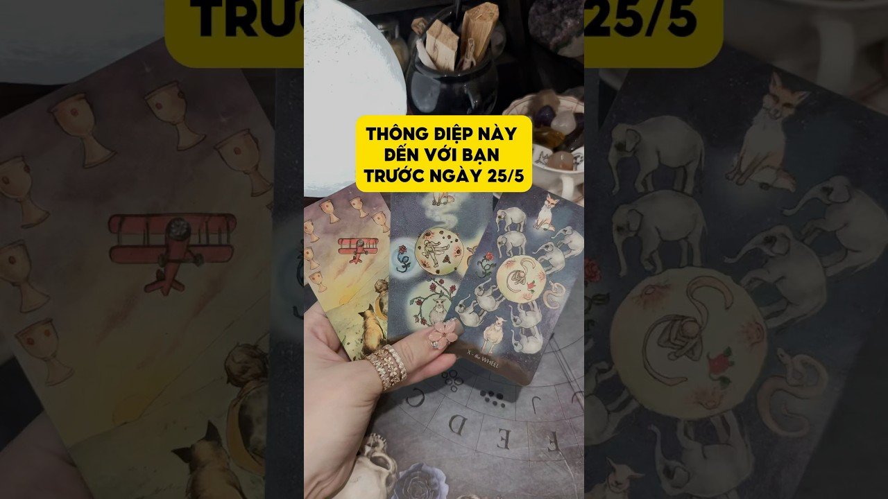 No momento, você está visualizando Thông điệp này đến với bạn trước ngày 25/5 #tarot #duongtarot #tarotvietnam #tarotonline #tinhyeu