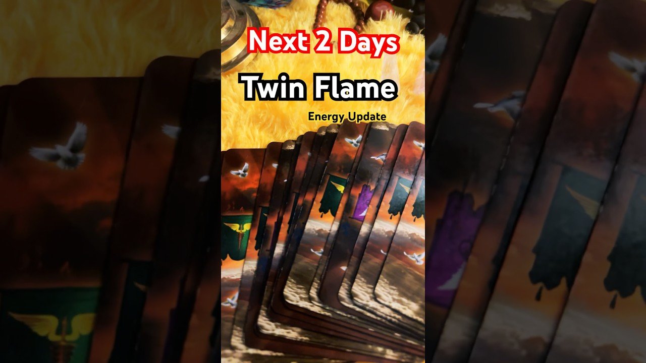 No momento, você está visualizando Twin Flame Energy Update 🥰🔥Love Reading #tarot #ankiastro #tarotreading #twinflame
