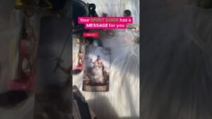 Leia mais sobre o artigo your Spirit guide has a MESSAGE for you #timeless #tarot #shorts#message#astrology