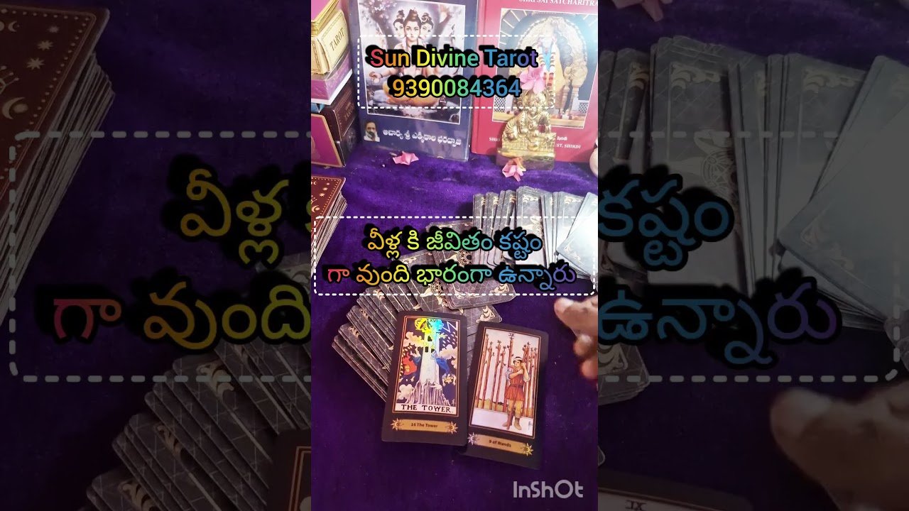 No momento, você está visualizando మీ పర్సన్ ప్రస్తుత సిచువేషన #love #tarot #tarotcardreading #astrology #tarotreadi