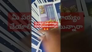Leia mais sobre o artigo మీ పర్సన్ మీకు నాయ్యం చేయాలి అనుకుంటున్నారా 🙏 #tarot # #fortunetelling #astrology