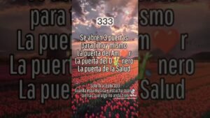 Leia mais sobre o artigo 333 HECHO ESTÁ!!🙏🙌💚 #blessings #tarot #remedios #remediosnaturales #ritual #esoteric #usa #tips