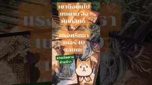 Leia mais sobre o artigo แรงศรัทธาเบอร์ 10 เลยนะ #tarot #love #youtubeshorts #youtube #tarotreading #anime #podcast