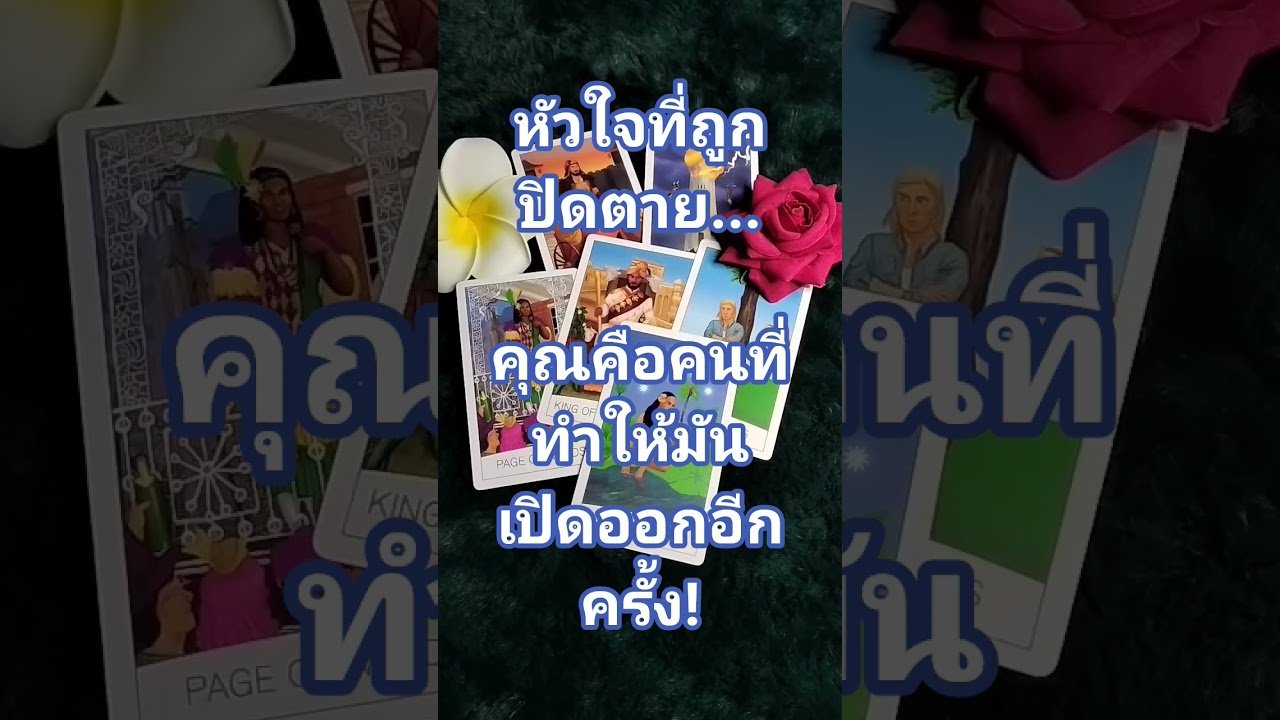 No momento, você está visualizando คุณคือคนที่ทำให้มันเปิดออกอีกครั้ง! #tarot #love #lovestatus #youtubeshorts #youtube