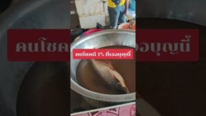 Leia mais sobre o artigo คนโชคดี 1% ที่เจอบุญนี้ #tarot #ดูดวง @user-geed289