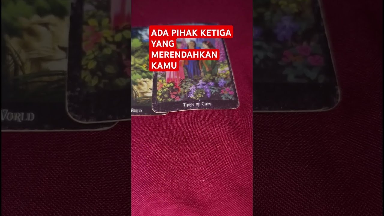 No momento, você está visualizando ADA PIHAK KETIGA YANG MERENDAHKAN KAMU #tarot #tarotreading