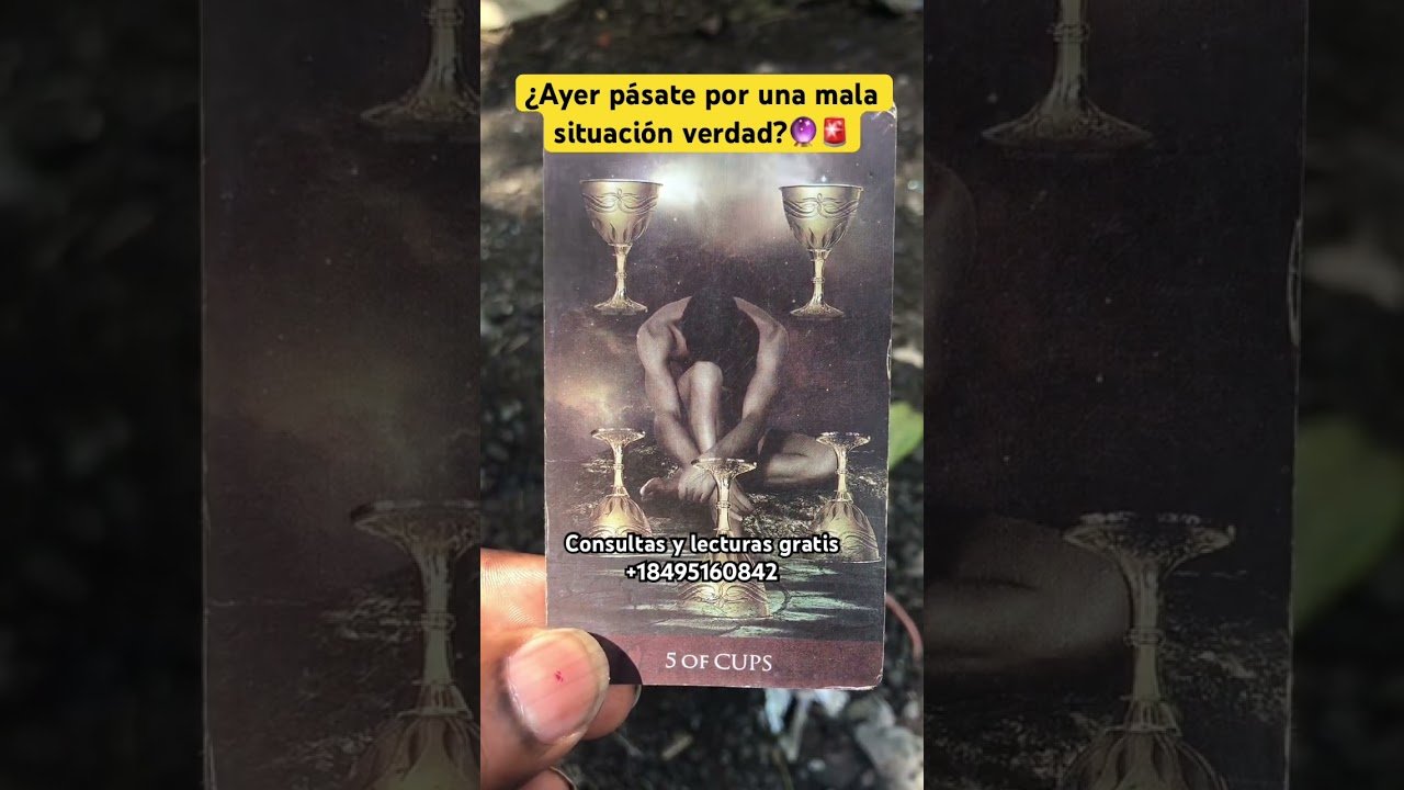 No momento, você está visualizando ¿Ayer pasaste por una mala situación? 🔮🚨😱 #tarot #lecturacartas #tarot #sanacion #shots #parati