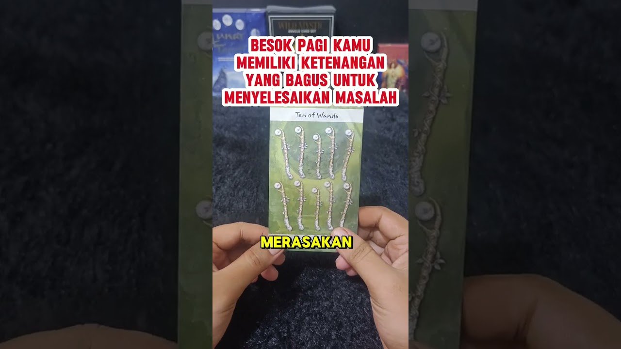No momento, você está visualizando BESOK PAGI KAMU MEMILIKI KETENANGAN YANG BAGUS UNTUK MENYELESAIKAN MASALAH #tarot #tarotreading
