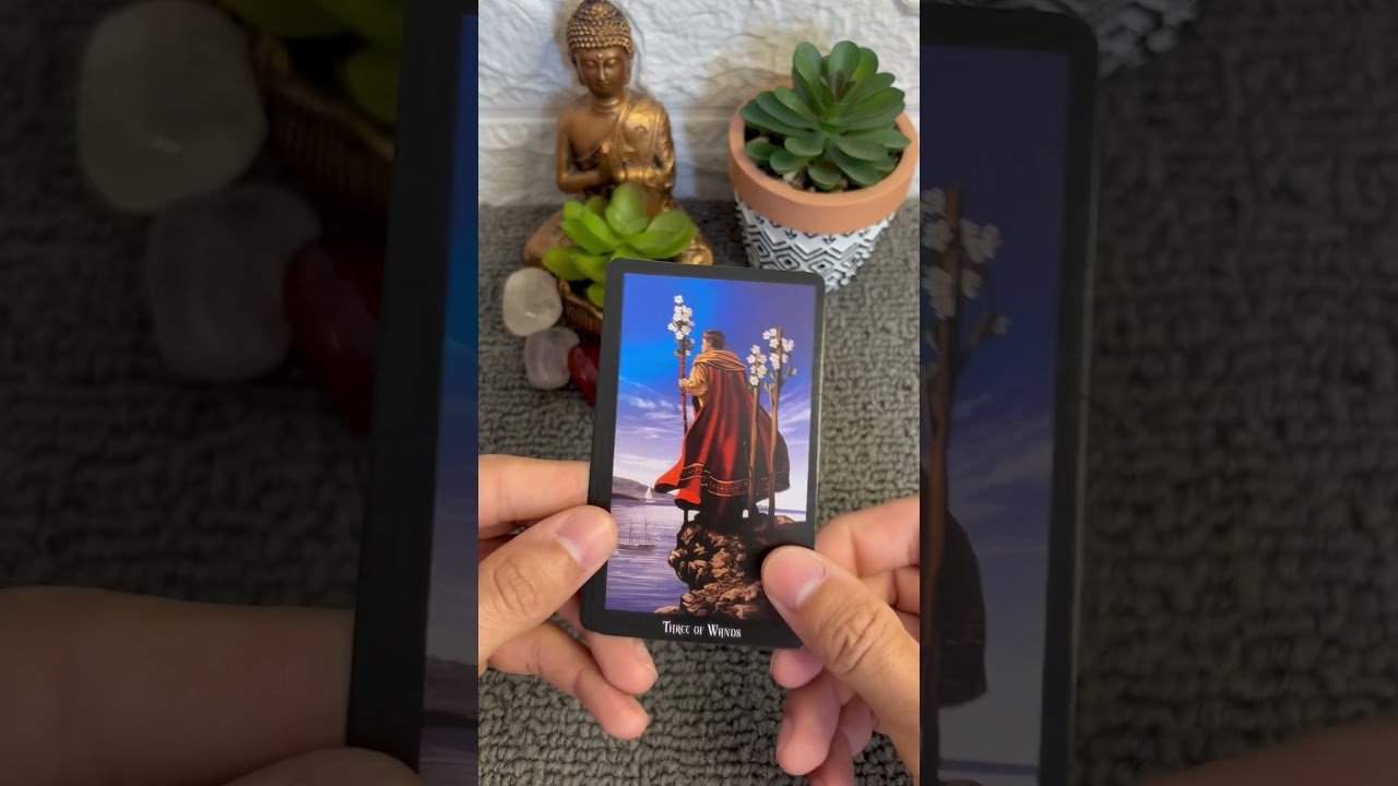 No momento, você está visualizando #cartomante #tarot #taromancia #taro #consultatarologa #tarotcoletivo