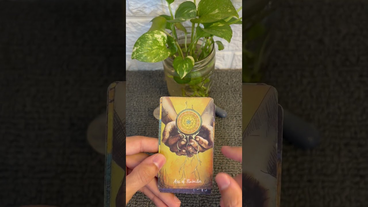 No momento, você está visualizando #cartomante #tarot #taromancia #tarotreading #consultatarologa #tarotcoletivo