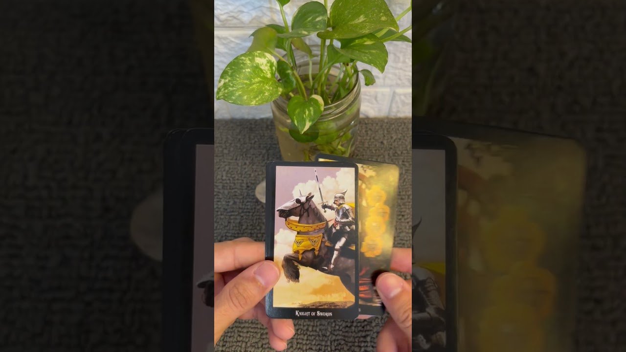 No momento, você está visualizando #cartomante #tarot #taromancia #taro #consultatarologa #tarotcoletivo