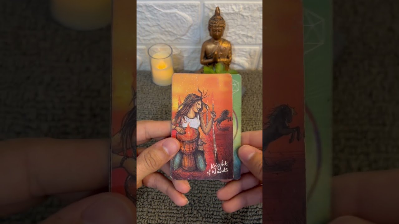 No momento, você está visualizando #cartomante #tarot #taromancia #tarotreading #tarotcoletivo #consultatarologa