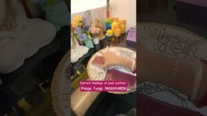 Leia mais sobre o artigo current feelings of your partner #tarot #poojatyagi #shorts #shortsfeed #ytshorts #youtubeshorts