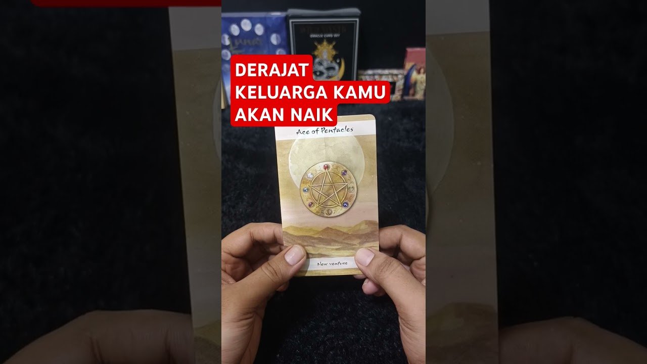 No momento, você está visualizando DERAJAT KELUARGA KAMU AKAN NAIK #tarot #tarotreading