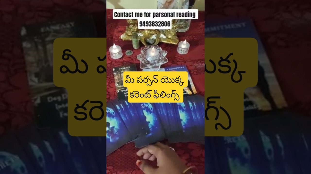 No momento, você está visualizando June #tarot #tarotreading #tarotreader #love #tarotcards #nocontactreading #astrology #viralvideo