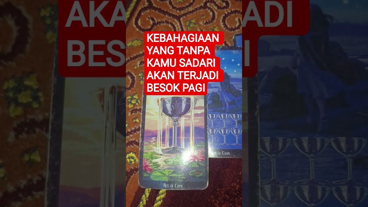 No momento, você está visualizando KEBAHAGIAAN YANG TANPA KAMU SADARI AKAN TERJADI BESOK PAGI #tarot #tarotreading