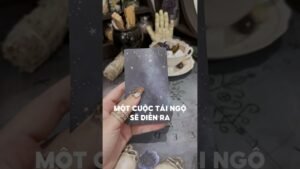 Leia mais sobre o artigo Một cuộc tái ngộ sẽ diễn ra #tarot #duongtarot #tarotreels #tarotvietnam #tarotonline #tinhyeu