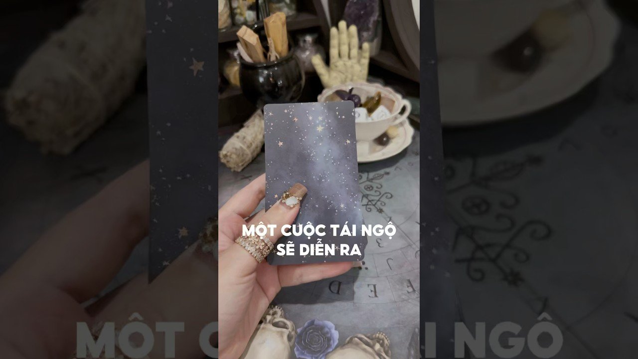 No momento, você está visualizando Một cuộc tái ngộ sẽ diễn ra #tarot #duongtarot #tarotreels #tarotvietnam #tarotonline #tinhyeu