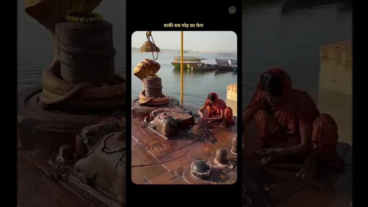 No momento, você está visualizando maturity #love #tarot #radha #tarotreading #motivation #life