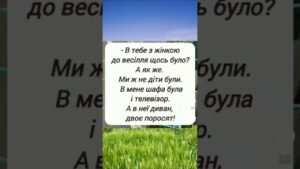 Leia mais sobre o artigo #memes #рід #життя #tarot #топ #funny #spotify