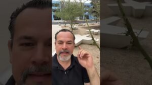 Leia mais sobre o artigo Mensaje divino urgente para ti #mindfulness #tarot #fortunetelling #amor #horoscopo #tarotreading