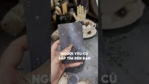 Leia mais sobre o artigo Người yêu cũ sắp tìm đến bạn #tarot #duongtarot #tarotreels #tarotvietnam #tarotonline #tinhyeu