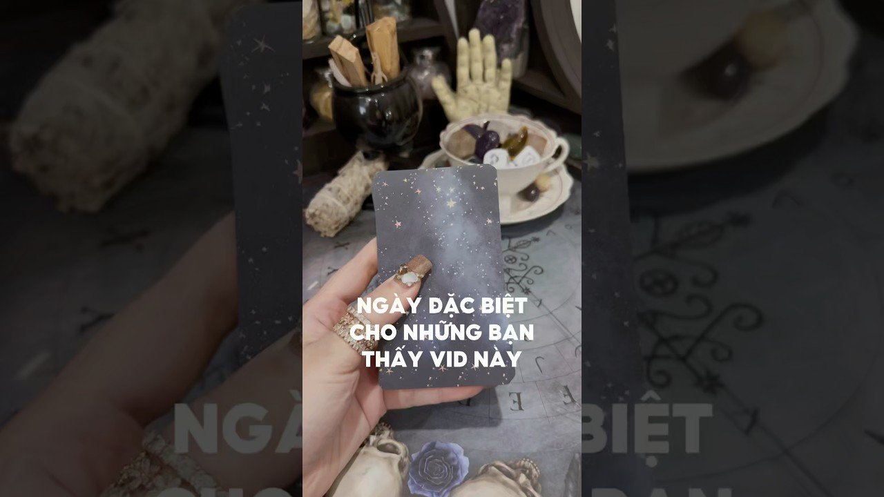 No momento, você está visualizando Ngày đặc biệt cho những bạn thấy vid này #tarot #duongtarot #tarotreels #tarotvietnam #tarotonline