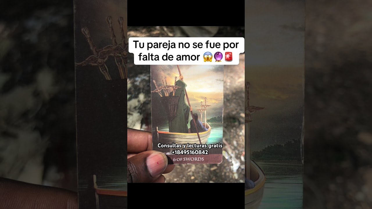 No momento, você está visualizando No se fue por amor tu pareja 💔🚨😱 #tarot #lecturacartas #amor #horoscopo #energia #shots #lectura