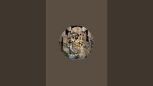 Leia mais sobre o artigo Parth sarthi Tarot is live #tarot #viral #trending#shortsfeed#verticallive#love#career#live#freelive