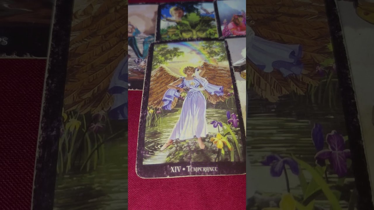 No momento, você está visualizando PESAN PENTING UNTUK KAMU HARI INI #tarot #tarotreading