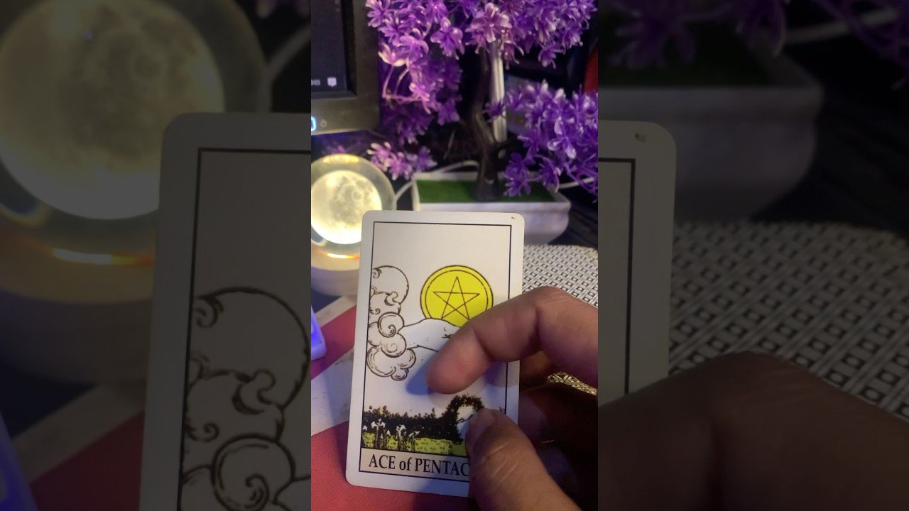 No momento, você está visualizando Rezeki dan awal baru datang #tarothariini #tarot #tarotreading