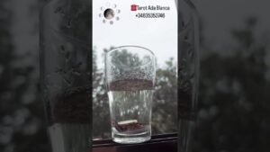 Leia mais sobre o artigo Ritual #tarot #taromancia #amor #tarostudijos #magia #luna