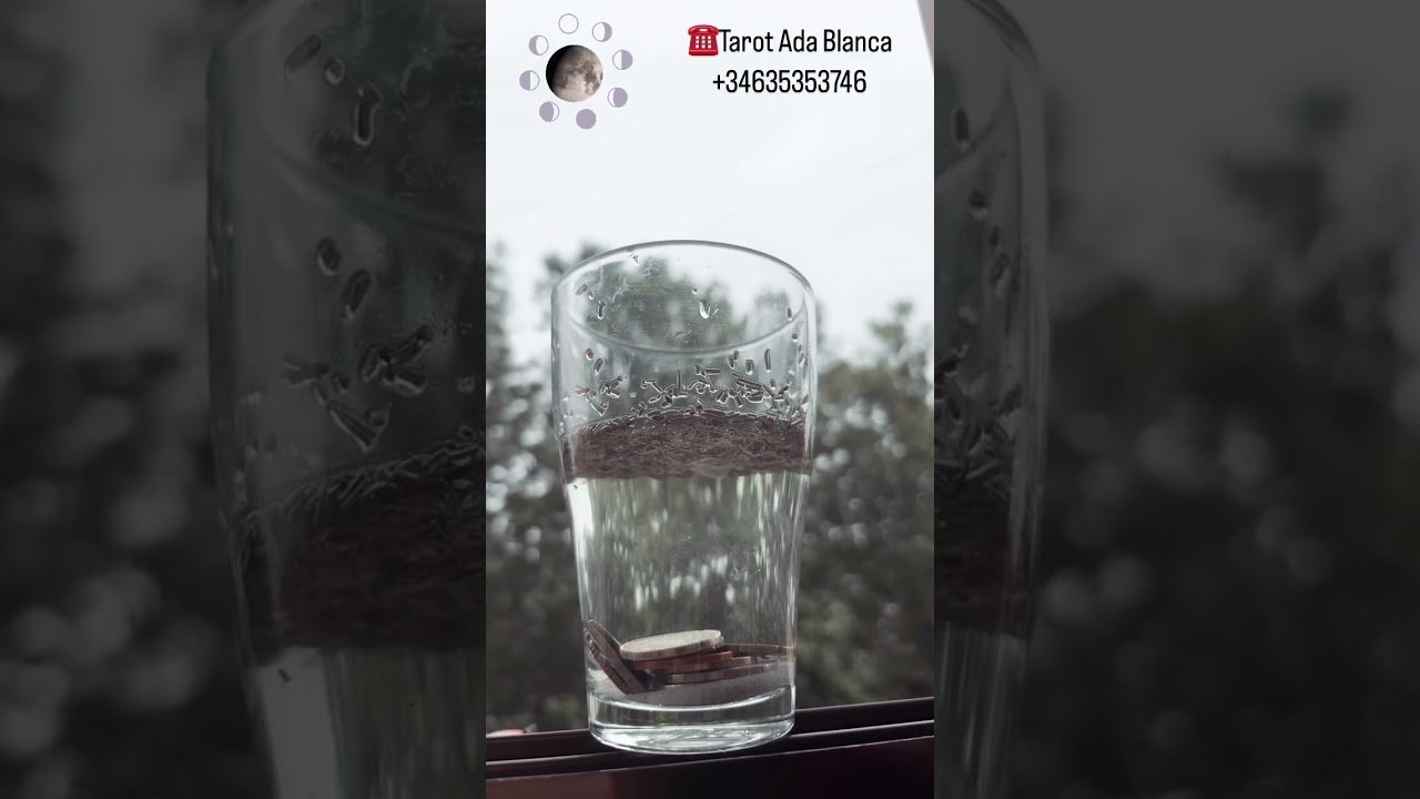 No momento, você está visualizando Ritual #tarot #taromancia #amor #tarostudijos #magia #luna