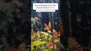 Leia mais sobre o artigo secret message: from your partner 🎀✨ #love #trending #tarot #youtubeshorts #viralshort