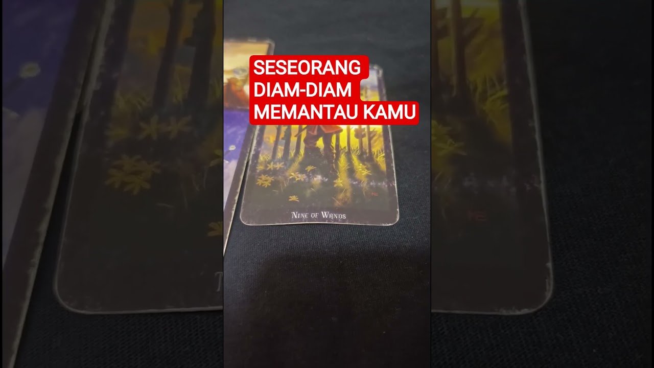 No momento, você está visualizando SESEORANG DIAM-DIAM MEMANTAU KAMU #tarot