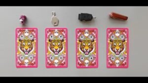 Leia mais sobre o artigo tarot ngắn: chọn tụ bài: yes, no, maybe