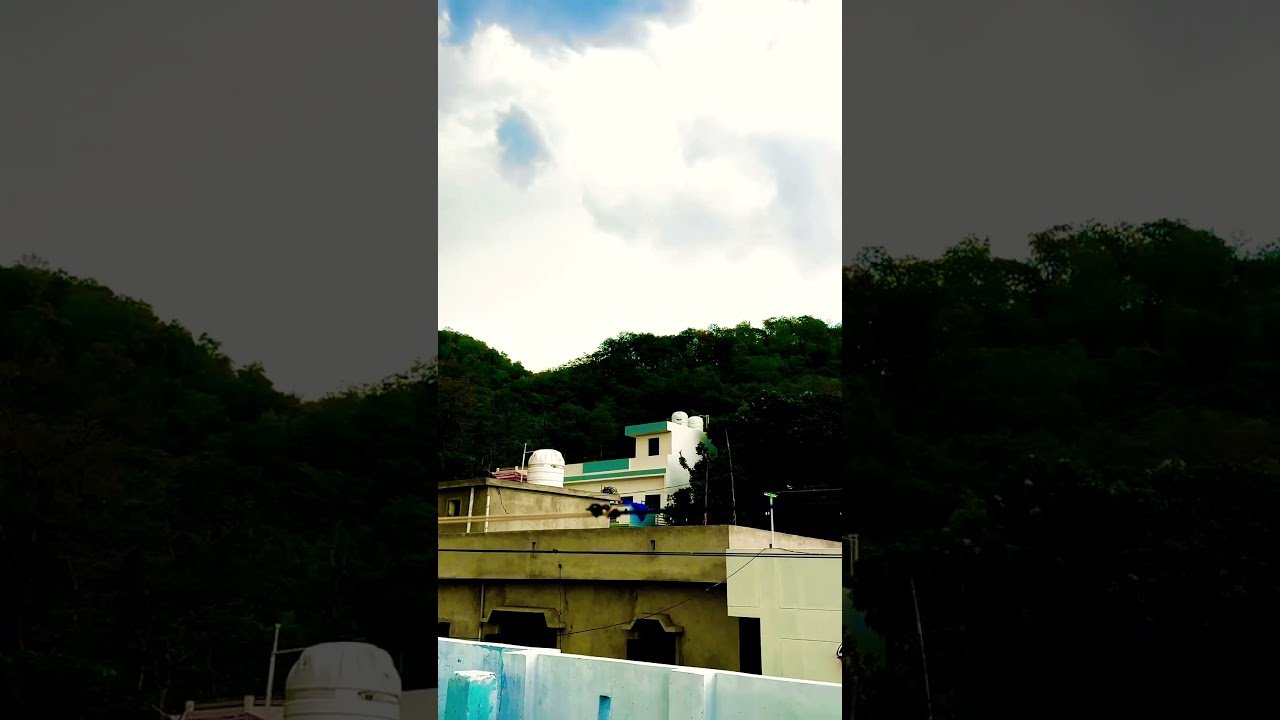 No momento, você está visualizando #tarot #uttarakhand #trending #love