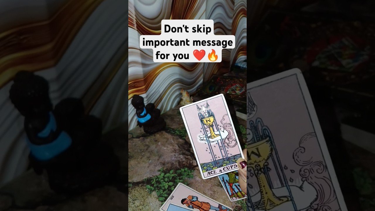 No momento, você está visualizando #tarot #whatscomingupinlovelife #tarotreading #trending #trendingshorts #youtubeshorts #fyp #love
