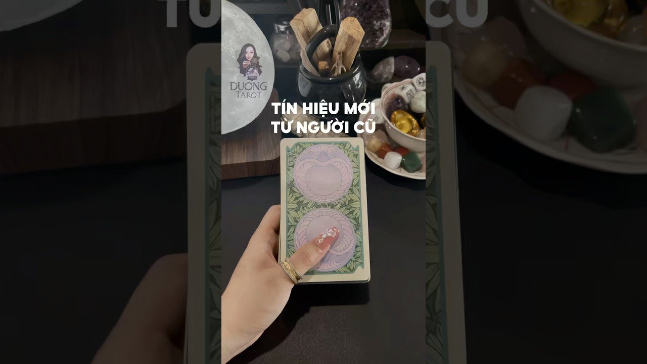 No momento, você está visualizando Tín hiệu mới từ người cũ #tarot #duongtarot #tarotreels #tarotvietnam #tarotonline #tinhyeu