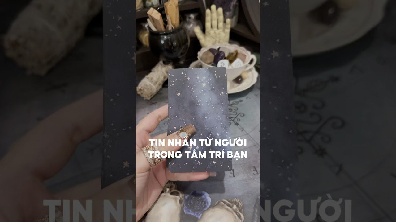 No momento, você está visualizando Tin nhắn từ người trong tâm trí bạn #tarot #duongtarot #tarotreels #tarotvietnam #tarotonline