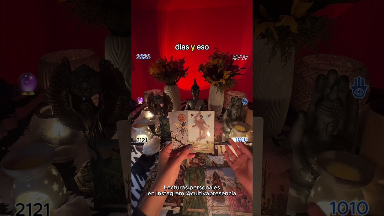 No momento, você está visualizando Un viaje inesperado ✈️⭐️💗 #Manifestación #cultivapresencia #cultivapresencia #tarot